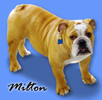 Milton